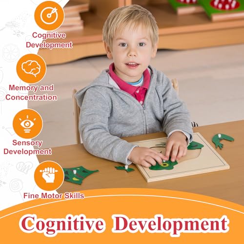 Montessori Outlet Frog Puzzle for 3-6 Years Montessori Education at School and Home - color: Frog