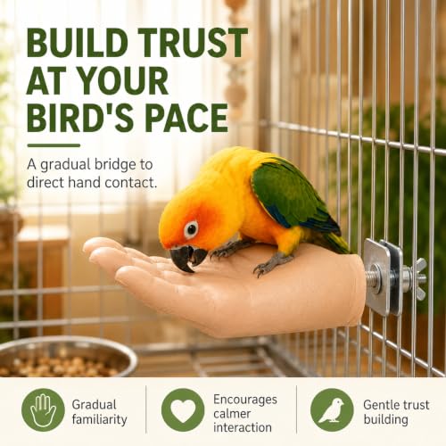 Raised Finger Hand-Shaped Parrot Perch for Bird Cage, Washable Desensitization and Step-Up Training Stand with Secure Screw Mount - size: Raised Finger