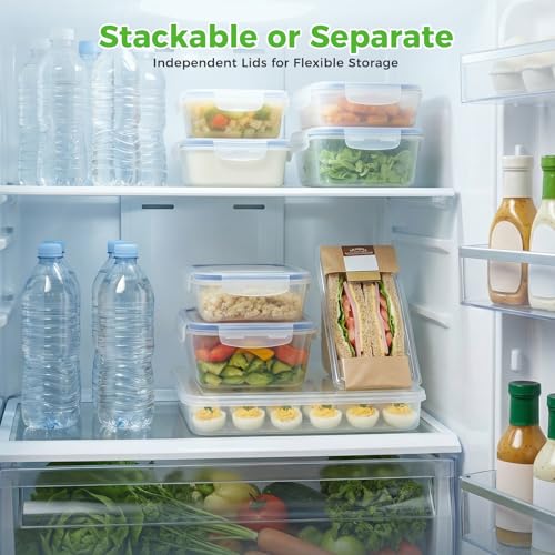 HANSGO Deviled Egg Containers with Lid, Plastic Egg Holder for 24 Eggs | Clear Deviled Egg Holder for Refrigerator Storage, Home Kitchen, Party, Easter, Thanksgiving and Other Festival - color: 24 Egg Box