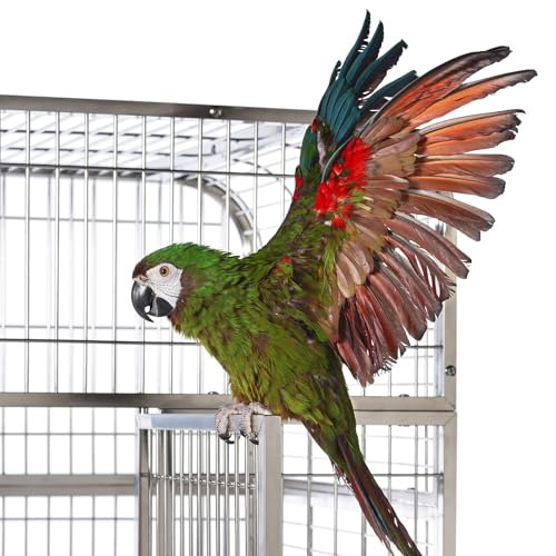 Prevue Pet Products Imperial Extra Large Stainless Steel Bird Cage | Big Birdcage Ideal for Parrots, Cockatoos, Macaws, Included Perch and Cups, Durable Cage with Wheels - size: 41.3"L x 27.9"W x 73.8"H