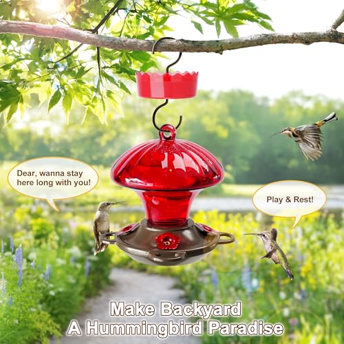 Auslar Glass Hummingbird Feeders for Outdoors Hanging, Red, 15 Oz | Hummingbird Feeder with Ant Moat & 4 Anti-Bee Feeding Ports, Ant and Bee Proof, Leakproof, Easy Clean and Fill, Garden Decor - color: Red