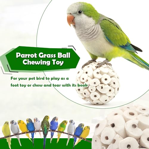 DQITJ 6 Pcs Bird Parrot Chew Toy Sola Balls Natural Soft Chew Shredding Parrot Foraging Toy Foot Ball for Cockatiel Conure Parakeet Bunny Guinea Pig