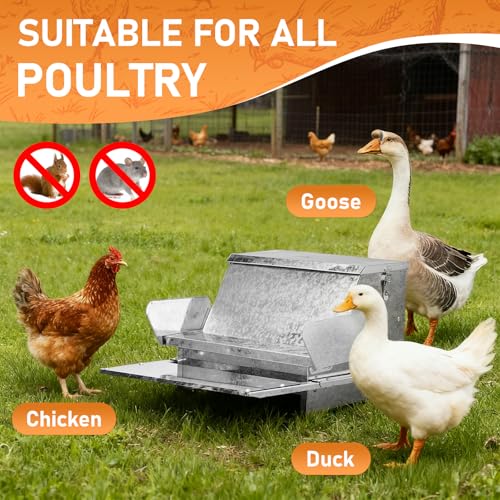 Automatic Treadle Chicken Feeder, 25 Lbs No Waste No Spill Rodent Proof Metal Chicken Feeder with Weatherproof Lid, Chicken Supplies for Your Chickens Duck Bantams Pheasants Poultry Coop