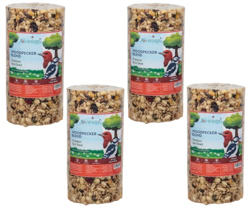JCs Wildlife Woodpecker Blend Bird Seed Cylinder with Hole, Peanuts Pecans Pumpkin Seeds Berries, No Filler Wild Bird Food for Outside Feeders, Made in the USA, 1 Count (Pack of 4) - size: 1 Count (Pack of 4)
