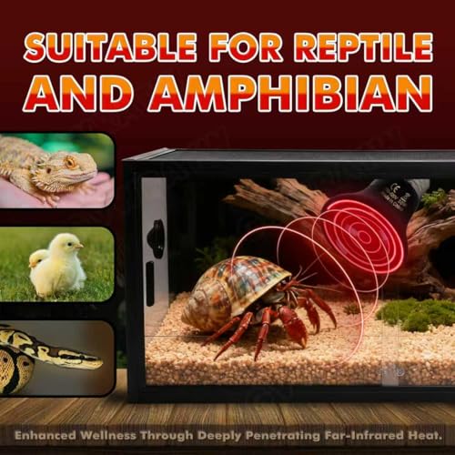 50W Non-Light Ceramic Heat Emitter (2-Pack 0.2inch-60mm) Reptile Heat Lamp for Terrariums, Brooders & Incubators. E26 for Turtle Lizard Bearded Dragon Snake Small Pets - color: 50 Watt, size: 60 mm