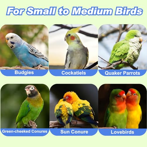 Dual-Layer Bird Swing Perch with Bells Rainbow Cotton Rope Cage Parrot Toy | 10" For Parakeet Conure Cockatiel Mynah Love Birds Finches