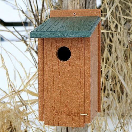Woodlink NAGGBB Audubon Going Green Bluebird House , 12 Inch