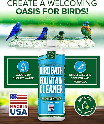 Birdbath & Fountain Cleaner - 16 oz Fountain Maintenance Outdoor Indoor - Bird Bath Cleaner