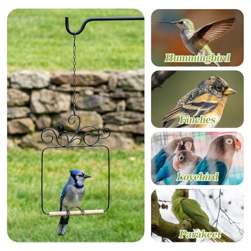 2 Pack Hummingbird Swings, Black Metal Frame Hummingbird Swings with Wooden Dowel Wild Bird Swing Outdoor Bird Perch with 2Pcs Hanging Chain for Hanging Indoor Outdoor Trunk Lawn Patio Garde