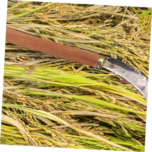 KOMBIUDA Wood Handle Replacement for Ladle 11.81 Inch Multi-Use Spoon Handle Ergonomic Grip for Kitchen Ladles Water Scoop Manure Spoon Lightweight Easy to Install