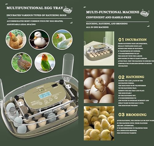 Smart Egg Incubator with Automatic Egg Turner & Built-in Candler, Stable Temperature Control, for Hatching Chicken Quail Duck Goose Eggs, 24 Eggs Capacity, External Water Refill