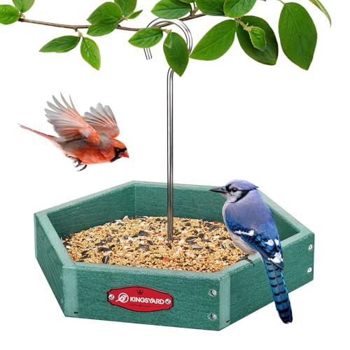 Kingsyard Hanging Platform Bird Feeder for Outdoors, Deep Tray, Green | Weather-Resistant Recycled Poly Lumber, Fast-Draining Metal Mesh Base, Easy to Clean, Holds Up to 3 lb of Seed - color: Green