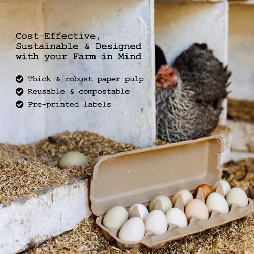 Hatortempt 24pc Egg Cartons Cheap Bulk 12 Count, Reusable Dozen Egg Crates | Sturdy Cardboard Paper Pulp - S-XL Chicken & Duck Egg Cartons - Rustic Custom Design - Empty Egg Containers for Fresh Eggs - size: 24-Pack