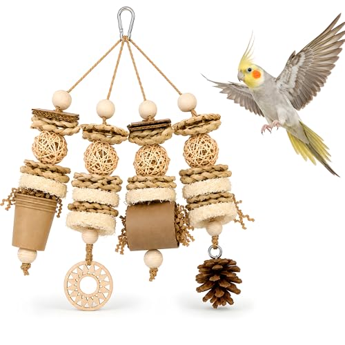 Parakeet Foraging Toy with Loofah & Pine Cone, Bird Chew Toy | For Budgies, Cockatiels, Conures and Quaker Parrots | Multiple Textures for Pecking, Shredding and Active Cage Play
