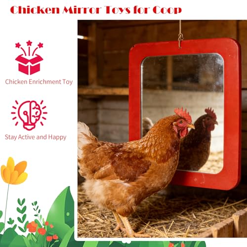 FlidRunest Extra-Large Size Chicken Mirror Toys for Coop, 11.8'' x 9.8'' Hanging Chicken Enrichment Swing Mirror Acrylic, Double-Sided Coop Accessories for Hens Birds Parrots Roosters Red