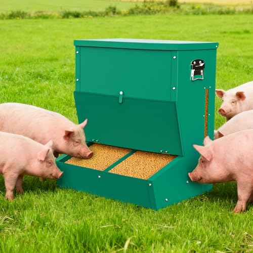 Pig Feeder, 2-Door Heavy Duty Galvanized Steel Hog Feeder,3.7 Bushels Capacity,Outdoor Pig Feeders with Visable Feed Design, Livestock Feeder for Barn, Farm, Feeding up to 5 Small Hogs, Green - size: 2-Door