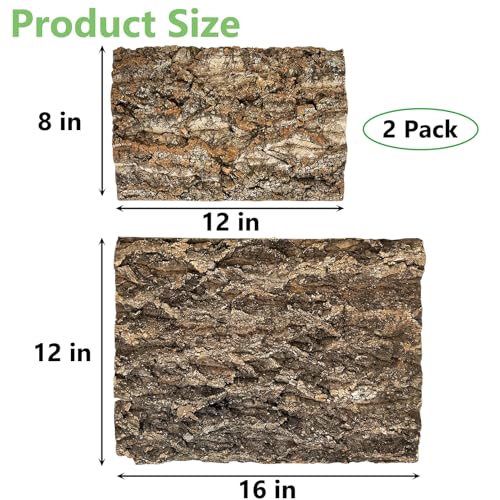 Cork Bark Perch for Birds 16"X12" Natural Cork Chewing Toy 2 PCS Flat Budgies Bark Seat Board Wood Bark Background Decor Panel Birdcage Accessories for Parakeet Lovebirds Cockatiels Conures