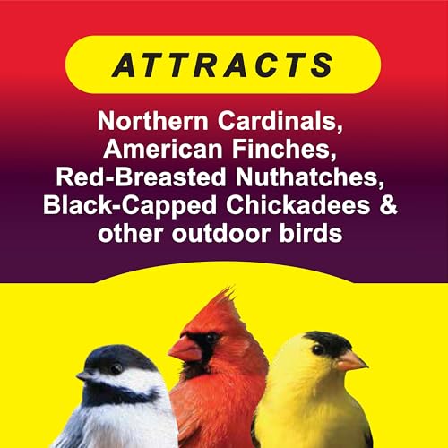 Wild Delight Advanced Formula Squirrel Away Zero Waste Wild Bird Food 5 lb | No fillers, premium ingredients, real chili peppers, zero-waste formula, wild bird feed for songbirds, deters squirrels - size: 5 Pound (Pack of 1), style: Squirrel Away 5lb
