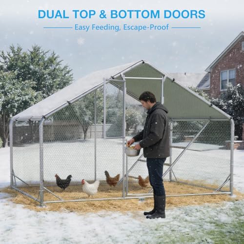 Large Metal Chicken Coop, Outdoor Chicken Run with Cover, 10 x 6.5 x 6.5 FT | Heavy-Duty Poultry Enclosure & Chicken Pen with Split Doors, Galvanized Steel Frame, Free Wire Mesh Fence and Roosting Ladder - size: 10' x 6.5'