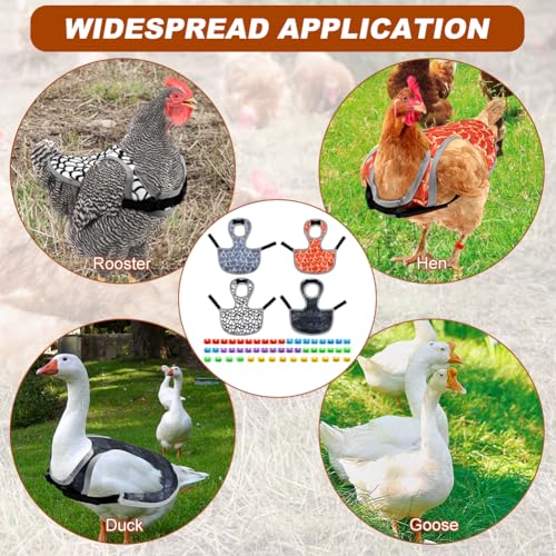 4PCS Chicken Saddles for hens, Chicken Apron Back Protector for Hens with Adjustable Strap, Chickens Hen Mating Saddle, with 50pcs Chickens Identification Band