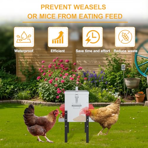 No-Waste Automatic Chicken Feeder, 30 lb Galvanized Metal Poultry Feeders with Adjustable Height, Locking Lid, Feeding Through, Feeder Box Stands for Chicks, Duck, (6 Ports)