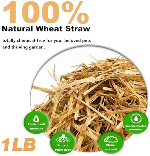 Natural Wheat Straw - Dry Clean Soft Bale for Stray Cats & Dogs Shelter, Chicken Coop Bedding, Garden Mulch & Weed Cover (1LB) - color: 1LB