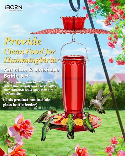 iBorn Hummingbird Feeders Sun Baffle,Ant Proof Moat Shade Cover Combo,for Hanging Bird Feeder for Outdoors Rain Guard,Red, 10.6inch - size: 10.6" Baffle with Ant Moat,1 Pack