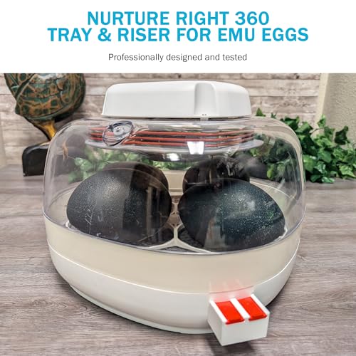 Egg Trays for Nurture Right 360 Egg Incubator (Various Sizes) (Extra Large w/Riser (Emu)) - size: 13.0"L x 13.0"W x 1.7"H