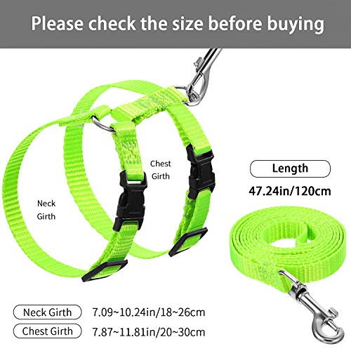 Outus 5 Pieces Adjustable Rabbit Harness and Leash Set Escape Proof Bunny Harness Vest for Pet Running Walk Jogging Bunny Cat Puppy Kitten Ferret and Other Small Pet(Fresh Color) - color: Fresh Color