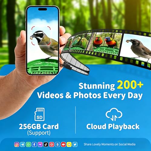 Bird Feeder with Camera, Upgraded Model, 4K UHD AI Bird Camera, Instant Arrival Alerts, Solar Powered, 5200mAh Rechargeable Battery, IP66 Waterproof Outdoor, Gift for Bird Lovers, Green - color: Green