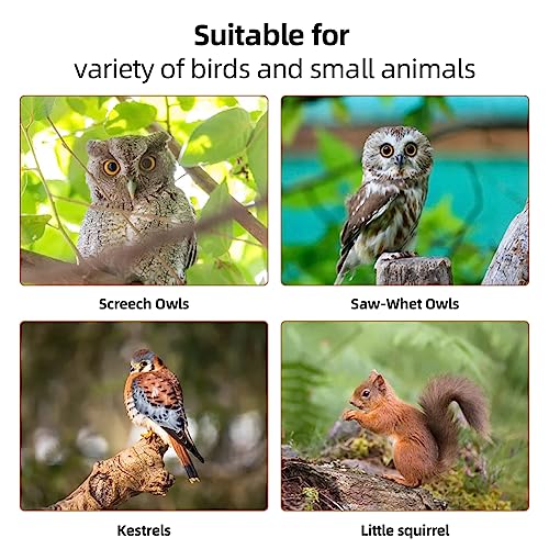 Owl House Owl Nesting Box for Outside: Handmade Wooden Bird House with Bird Stand - 100% Solid Wood Nesting Box
