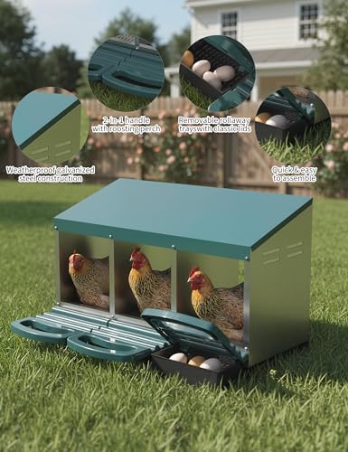 GarveeLife Chicken Nesting Box 3 Hole, Galvanized Steel Nest with Roll Away Egg Collection & Swing Perch, Easy-Clean Laying Box for Hens, Heavy Duty Design for Chicken Coop - color: Green, size: 3 holes