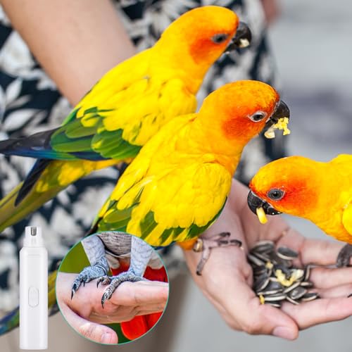 Lasnten 2 Pcs Bird Nail Grinder with Clipper Bird Nail Trimmer File Pet Grooming Tool for Parrot Budgerigars Parakeets Myna Conure Finches Lovebirds(White) - color: White