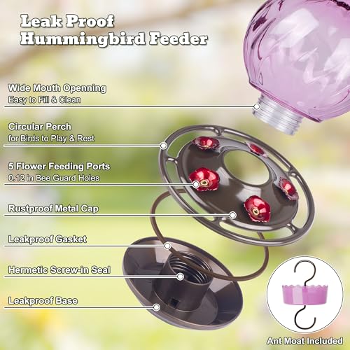 Auslar Glass Hummingbird Feeders for Outdoors Hanging, Purple, 26 Oz | Hummingbird Feeder with Ant Proof Moat, 5 Bee Proof Feeding Ports, 360°Perch, Leak-proof, Outside Garden Backyard Decor - color: Purple