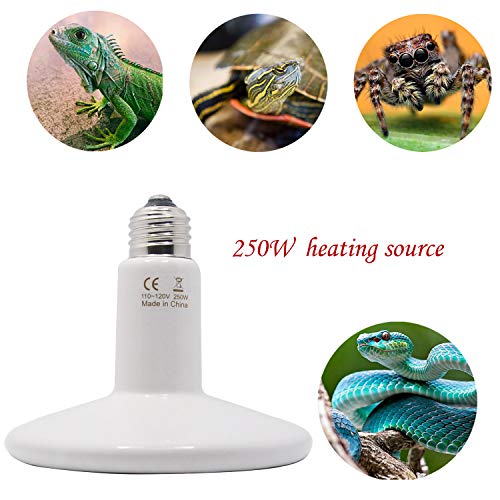250W 110V Pet Ceramic Heat Lamp, Pet Infrared Bulb Emitter Lamp No Harm No Light Heat Lamp Bulb for Pet Brooder Coop Chicken Lizard Turtle Snake - color: White