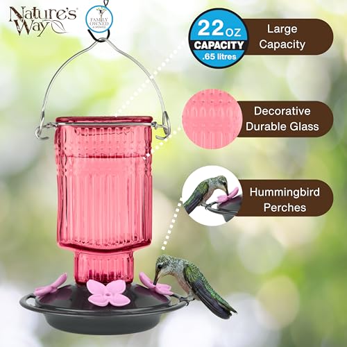 Nature’s Way Petal Pink Antique Glass Gravity Hummingbird Feeder with Bronze Plastic Base, 22 Ounce Capacity, 4 Flexible Pink Flower Ports and Perches, Bee-Resistant Design - color: Pink