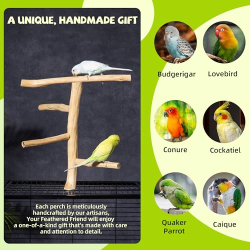 Bird Perch for Top of Cage, Natural Wood Play Stand