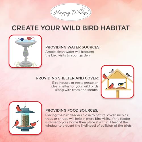 Happy Wings 10LB Shelled Peanuts Bird Food, No Grow Seeds, 100% Edible | High in Oil & Protein, High Energy Content, No Waste Bird Seeds, Heat Treated at Optimum Temperature, USDA & BRC-GS Approved - size: 5 Pound (Pack of 2)