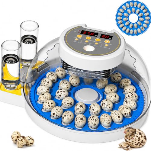 32 Quail Egg Incubator for Hatching Eggs, Dual Power Supply, Automatic Egg Turner, Humidity & Temperature Monitor, Egg Candler, External Water Filling, Bird Egg Incubator for Quail Dove