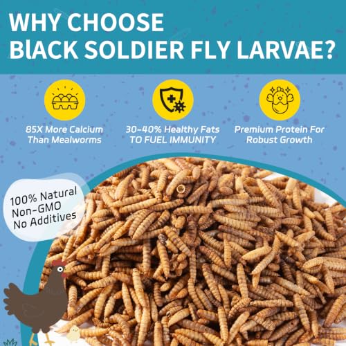 10LB Dried Black Soldier Fly Larvae for Chickens | Factory Direct-No Middle Man, 4% Calcium for Strong Eggshells, 43% Protein Natural Treats for Vibrant Feathers - size: 10 Pound (Pack of 1)