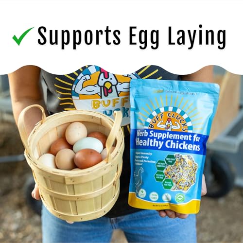 Buff Clucks Herbs Supplement for Chicken Food Natural Poultry Feed, 20 lb | Healthy Chick Snacks for Daily Wellness Feather Quality Egg Production Plant Based Chicken Herbs for Feed Treats for Chickens - size: 20 Pound (Pack of 1)