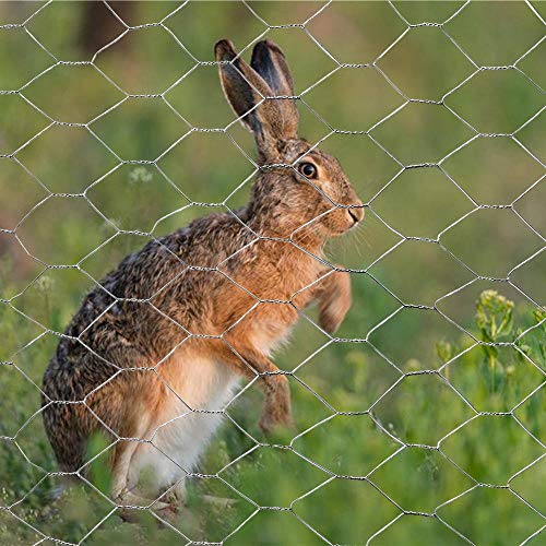 Galvanized Hexagonal Poultry Netting Chicken Wire 72" x50' x 2" Mesh 20GA - size: 72"x50'- 2" 20GA