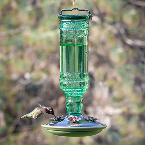 Perky-Pet Glass Bottle Hummingbird Feeder - Outdoor Garden Décor Humming Bird Feeder,8108-1SR - 10 Fl Oz Nectar Capacity - Durable Green Antique Design - Hang from Tree,Porch,Deck,Hook,(Pack of 6) - style: Green Bottle (Pack of 6)