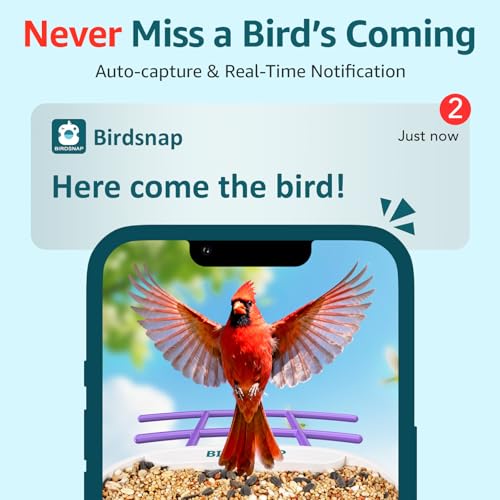 birdsnap® TUC Bird Feeder with Camera Solar Powered 2K Video with 32GB Card | AI Bird Species Identification, Squirrel-Proof, IP65 Waterproof, Outdoor Wireless, 2.4G WiFi, Gift for Mom Dad Bird Lovers - color: Purple