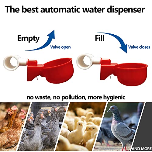 Chicken Waterer 12 Pack,Automatic Chicken Water Cup and 1/2" PVC Tee Fittings,Large Auto-Fill Chicken Waterer Cups,DIY Chicken Water Feeder, Coop Water Dispenser,Poultry Waterer Feeder Kit