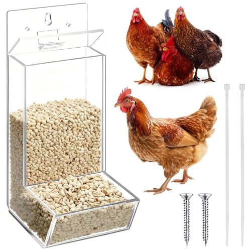 Hushee 1 Pack Acrylic Oyster Shell and Grit Feeder for Chickens, Clear Automatic Chickens Feeder with Lid Chicken Coop Accessories Multiple Installation Methods for Hens Chicks Cages Wall Pillar