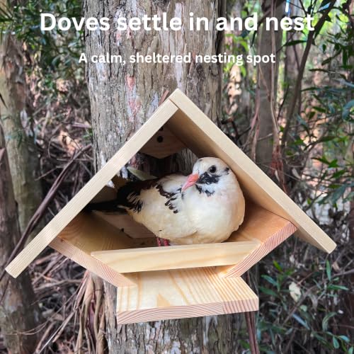 Dove Bird House, Mourning Dove Nesting Box for Pigeons, Open Nest Platform | For Mourning Doves, Pigeons, Open Design, For Backyard Garden, Small Medium Birds Not Large Ones