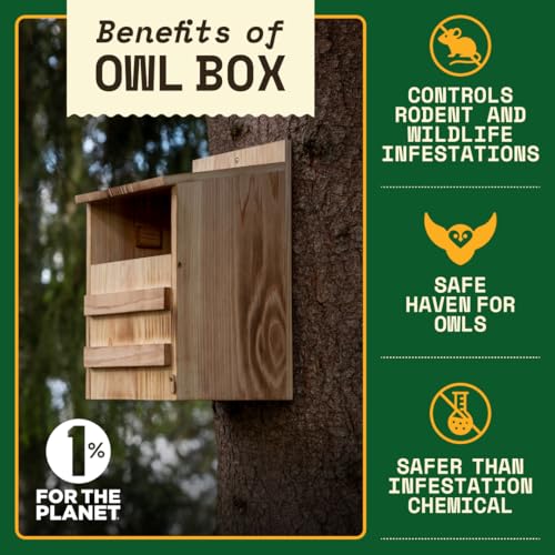 Barn Owl Nesting Box - Large, Cedar, Preassembled, Easy-Hang | Traditional Cedar Wood Owl Box with front-access door for easy cleaning, attracts screech owls and backyard birds.