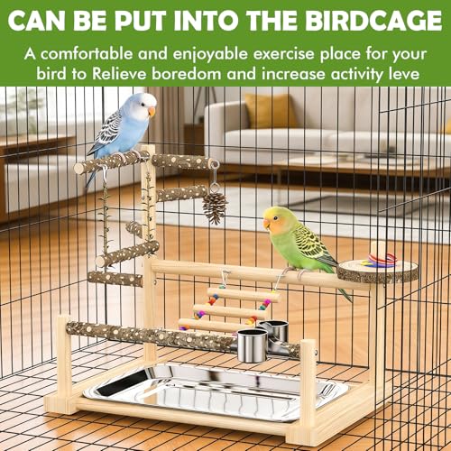 Bird Playground, Parrot Playstand Cockatiel Playground, Bird Play Stand with Feeder Cups, Swings, Ladder and Removable Tray, Parrot Perch Stand for Parakeet Conure Lovebird Budgie - size: 2 layer T2
