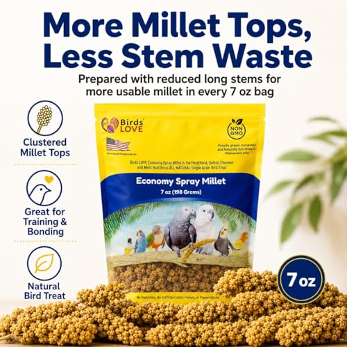 Birds LOVE Economy Spray Millet for Birds, 7 oz, GMO-Free Natural Millet Spray Treat, Stem-Reduced Edible Tops, Grown in USA, for Parakeets, Cockatiels, Lovebirds, Finches, Canaries & Small Parrots